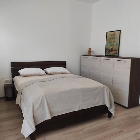 Studio Apartman Dani Баня-Ковиляча Экстерьер фото