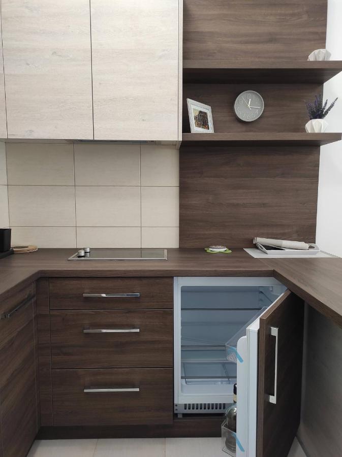 Studio Apartman Dani Баня-Ковиляча Экстерьер фото