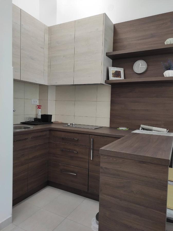 Studio Apartman Dani Баня-Ковиляча Экстерьер фото