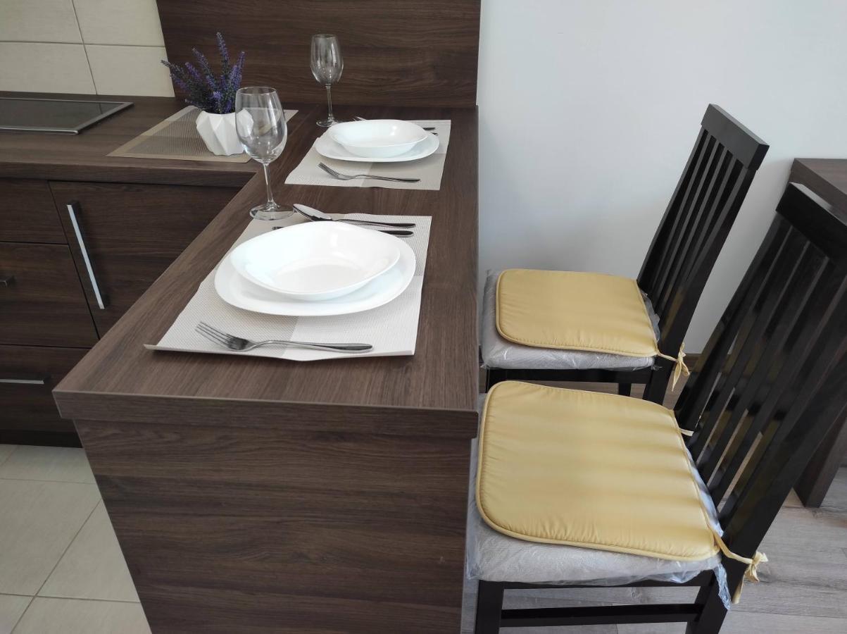 Studio Apartman Dani Баня-Ковиляча Экстерьер фото