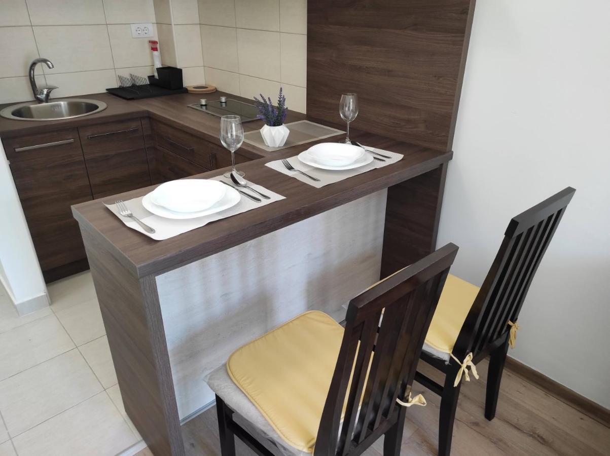 Studio Apartman Dani Баня-Ковиляча Экстерьер фото